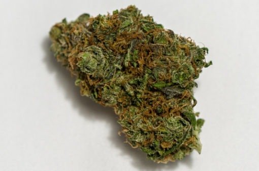 buy black-domina-kush.