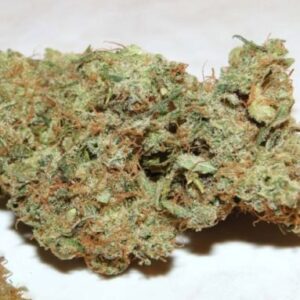 buy blueberry-kush-indica