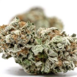 buy california-orange-AA-sativa online