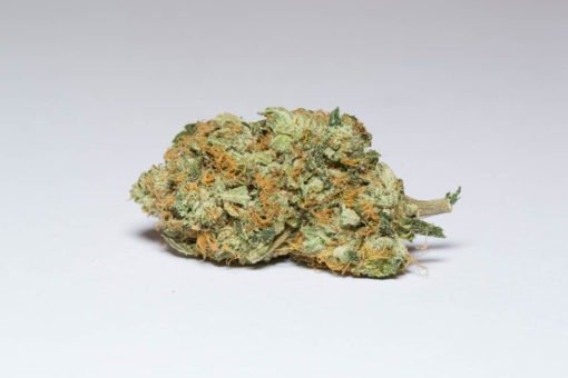 buy gorilla-glue-AAAA-Sativa online