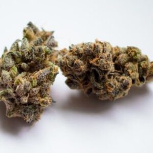 buy granddaddy-purple-kush-INDICA