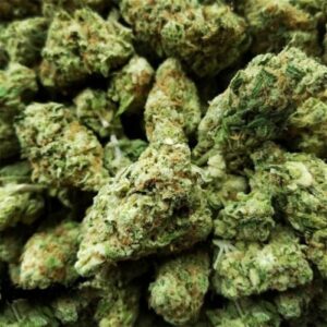buy hawaii-skunk-sativa online