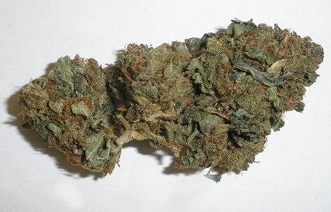 buy hindu-kush-INDICA
