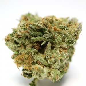 buy MK-ultra-indica-strains-buds