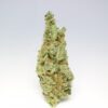 buy organic-chocolope-kush-sativa online
