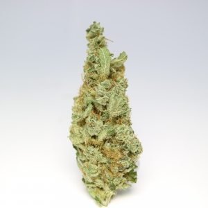 buy organic-chocolope-kush-sativa online