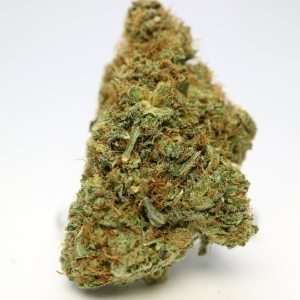 buy purple-kush-indica-strains-buds2