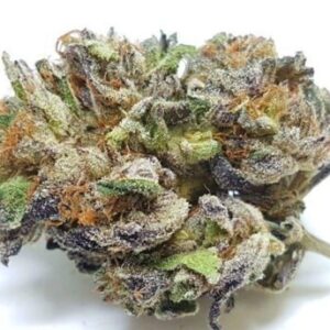 buy purple-urkle-AAAA-sativa. online