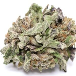 buy space-queen-AAAA-sativa