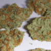 buy super-silver-haze-sativa