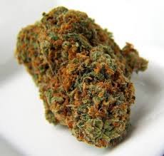 buy super-skunk-hybrid