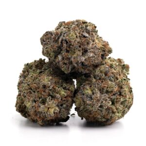 buy northern lights marijuana online