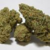 buy white russian strain online in usa